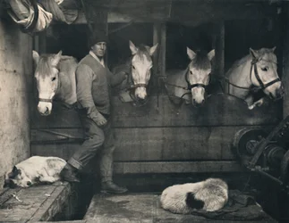 Kaptajn Oates, på Terra Nova med de sibiriske ponyer, c1911, 1914.