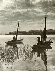 Ved Tokyo-bugten, 1910.