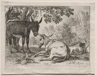 Dyr i landskaber: Æsler