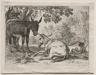 Æsler.