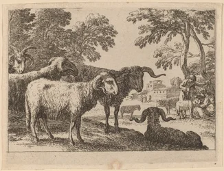 Væddere
