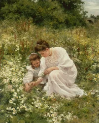 At plukke tusindfryd