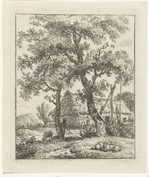 Gård og fårehyrde