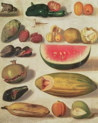 Stilleben med frugt og tudse