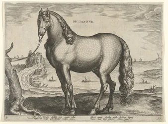 Hest fra Bretagne (Brittanus) Britannvs (titel på objekt) Hesteracer fra de kongelige stalde i Don Juan af Østrig (serietitel) Equile Ioannis Austriaci Caroli (serietitel)