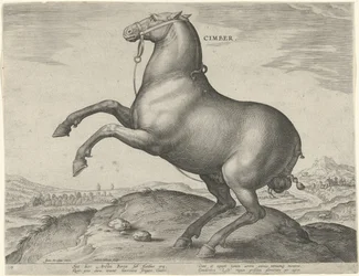 Hest fra Scythia Cimber (titel på objekt) Hesteracer fra de kongelige stalde i Don Juan af Østrig (serietitel) Equile Ioannis Austriaci Caroli (serietitel)
