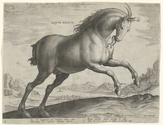 Hest af racen Equus Regius (den kgl.) Eqvvs Regivs (titel på objekt) Hesteracer fra de kongelige stalde i Don Juan af Østrig (serietitel) Equile Ioannis Austriaci Caroli (serietitel)