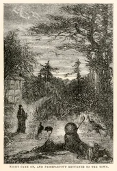 Natten kom, og Passepartout vendte tilbage til byen, fra Jorden rundt på firs dage af Jules Verne (1828-1905), indgraveret af Louis Prevost, 1873