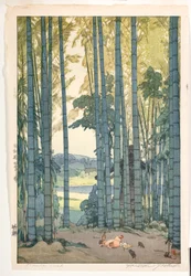 Bambuslund