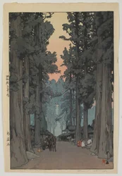 Cryptomeria Avenue, Showa-æraen
