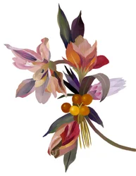 En imaginær blomst baseret på en tulipan.
