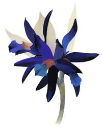 En imaginær blomst med blå bund.