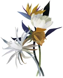 En imaginær blomst med hvid bund.
