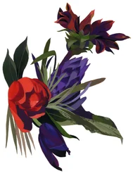 Tulipaner og dahliaer.