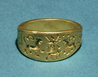 Ring indskrevet i 