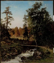 Et skovlandskab fra Hauho