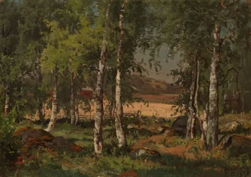 Landskab med birkelund og rugmark