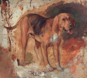 H.Hunt, Study of a Bloodhound