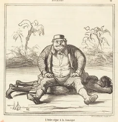 Ordenen hersker i Jamaica