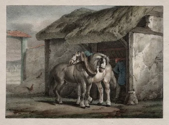 Gård Hest.