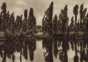 Mexico: Xochimilco med de såkaldte "flydende haver" (s/h-foto)