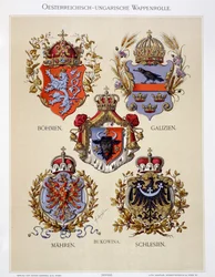 Våbenskjolde fra Det Østrig-Ungarske Kejserrige, fra kunstnerens „Heraldischer Atlas“, 1899