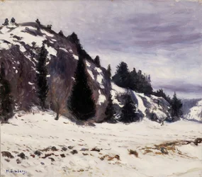 Vinterlandskab