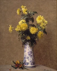 Krysantemum