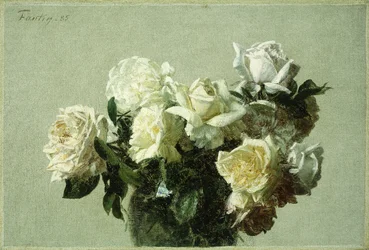 Roser, 1885