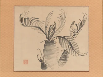Cycad, midten af 1700-tallet.