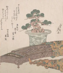 Potted Pine Tree og Koto Japanese Harpe, 1800-tallet.