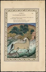 Hesten og ulven Hesten og ulven, 1837-1839.