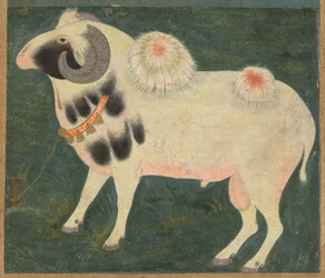 En kongelig vædder med guldkæde, ca. 1585 (ugennemsigtig akvarel & guld på papir)