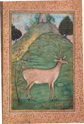 Buck in a Landscape, ca. 1595 (ugennemsigtigt wc & guld på papir)