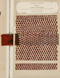 Grov bomuldsturbanprøve fra Sydapet i Madras, fra The Collection of the Textile Manufacturers of India, af John Forbes Watson, udgivet i 1866