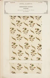 Broderet muslinprøve fra Madras, fra The Collection of the Textile Manufacturers of India, af John Forbes Watson, udgivet i 1866