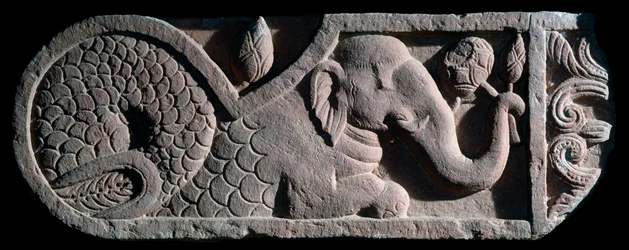 Elefant med fiskehale