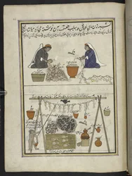 Fiskehandlere, Kvinder, der renser fisk; mand tørrer fisk,  86 tegninger indbundet i et bind, der viser håndværk og erhverv i Kashmir, håndværkere vises i arbejde med deres redskaber og udstyr,  Af en Kashmir-kunstner, sandsynligvis i Srinagar, ca. 1850-60