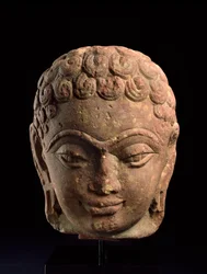 Leder af en Jain Tirthankara, Mathura-regionen, Kushan-perioden, 3.-4. århundrede e.Kr. (sandsten)
