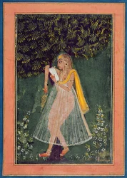 Hindu-dame læser et kærlighedsbrev under et træ (gouache, blæk og guld på papir)