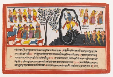 Krishna Conquers the Serpent Kaliya, side fra en Dispersed Bhagavata Purana Series, ca. 1775 (ugennemsigtigt wc & guld på papir)