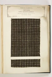 Materiale til Pantaloons, Loodiana, Punjab, stykkevarer, fra The Collection of the Textile Manufacturers of India, af John Forbes Watson, udgivet i 1866