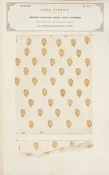 Muslinprøve trykt med guldblomster fra Jeypore i Rajpootana-staterne, fra The Collection of the Textile Manufacturers of India, af John Forbes Watson, udgivet i 1866