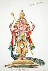Skanda (wc på papir)