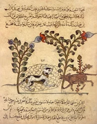 Katten og rotten, arabisk miniature fra "Kalila va dimna"