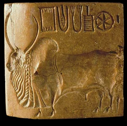 Segl med zebutyr og Indusskrift fundet i Mohenjo-Daro, Indusdalen, 3. årtusinde f.Kr.