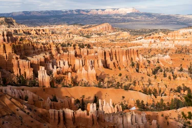 Hoodoos - spir skabt af erosion - i Bryce Canyon National Park i Utah, 2019
