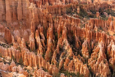 Hoodoos - spir skabt af erosion - i Bryce Canyon National Park i Utah, 2019