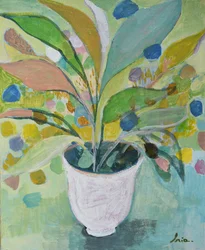 Farverig potteplante