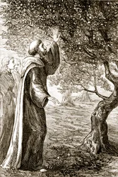 St. Columba ændrer bitter frugt til sød, fra The Trias Thaumaturga, eller Three Wonder-Working Saints of Ireland, af Mary Cusack (1829-99) udgivet omkring 1890